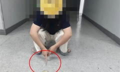 Cô dâu hoảng hốt phát hiện vàng bị tráo thành đồng, bất ngờ với danh tính thủ phạm