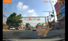 Clip: Sang đường ẩu, người đi xe máy khiến xe đầu kéo  phanh 