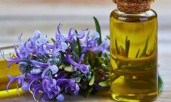  Loại cây quen thuộc tốt cho gan và hệ tiêu hóa