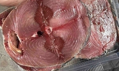 Những loại cá tốt cho gan