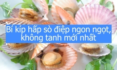 Bí kíp hấp sò điệp ngon ngọt, không tanh mới nhất