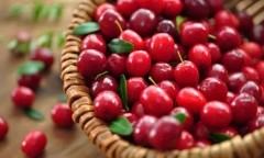 Điểm tên 5 loại trái cây nên ăn hàng ngày để giải độc gan, thận