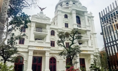 Nữ đại gia 