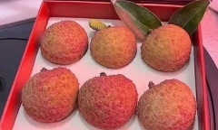 Hộp vải 6 quả giá 181 triệu đồng/quả gây 