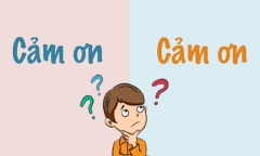 Cảm ơn hay cám ơn đúng chính tả?
