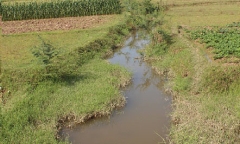 Vụ Hàn Đức Long: Luật sư phải đối mặt nhiều áp lực