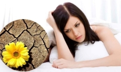 “Thực phẩm vàng” giúp chị em 