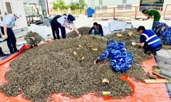 Vụ 25 tấn vỏ đạn quân dụng nhập lậu vào Việt Nam: Chuyển cơ quan điều tra