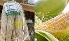  Thứ thường bị người Việt ăn xong vứt đi nhưng lại được người nước ngoài coi như 