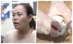 Ngày mai (27/11), xét xử Nguyễn Thị Hồng Bích đầu độc chồng, 3 cháu bằng xyanua