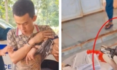 Tạm giữ nam thanh niên gây tai nạn, tàng trữ súng ở Bình Phước