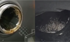 Clip: Đến căng tin trường học của con, phụ huynh sốc nặng khi thấy cảnh tượng nổi da gà