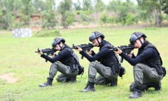 Câu chuyện về 