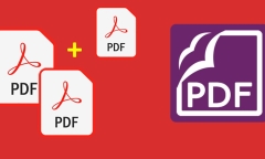 Cách gộp file PDF nhanh, chính xác nhất, bạn không thể bỏ lỡ