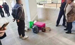 Thấy cặp đôi khả nghi trên tàu, nhân viên vội báo cảnh sát, phanh phui bí mật đáng lên án