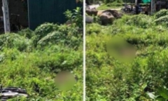 Vụ nam thanh niên 18 tuổi tử vong ở bụi cỏ ven đường: Hiện trường xuất hiện chiếc xe máy bí ẩn