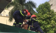 Người đàn ông bất ngờ đòi nhảy lầu bệnh viện tự tử ở Nghệ An