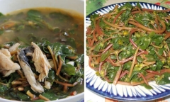 Rau sam được đánh giá cao về hàm lượng dinh dưỡng, tuy nhiên 4 nhóm người này không nên ăn