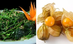 Bất ngờ với loại rau dại 