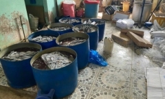 Gia Lai: Phát hiện hơn 1 tấn thịt gà, cá đông lạnh không rõ nguồn gốc xuất xứ