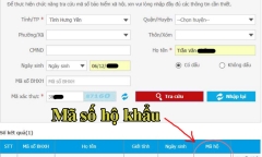 Những trường hợp không thể tra cứu sổ hộ khẩu điện tử