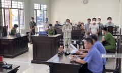 Bình Thuận: Trưởng BQL rừng phòng hộ La Ngà cùng nhân viên khai thác gỗ trái phép lãnh án tù