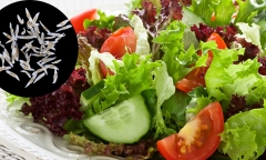 Thường xuyên ăn rau sống, người đàn ông nhiễm ký sinh trùng