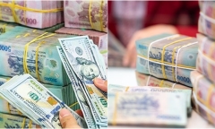 NHNN dừng hút tiền qua tín phiếu, hàng trăm nghìn tỷ được bơm ngược lại thị trường