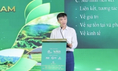 Định giá bất động sản để đầu tư cần tư duy sâu và liên tục về giá trị thị trường