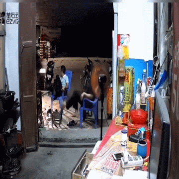 Video: Ô tô “phi như tên lửa” về phía cửa hàng, hai người đàn ông may mắn thoát chết 
