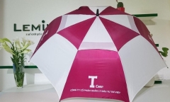 Trí Việt (TVC) lỗ gấp đôi sau kiểm toán