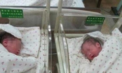 Bé gái giống ông chú hàng xóm như đúc, kết quả xét nghiệm ADN tiết lộ bí mật không tưởng