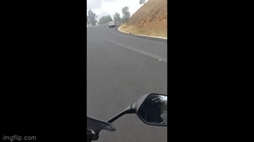 Clip: Kangaroo bị người đi xe máy hất văng