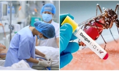Hà Nội ghi nhân số ca mắc sốt xuất huyết tăng vọt