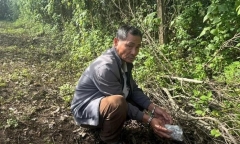 Vụ phá ổ ma túy của cặp tình nhân già: Phát hiện bí mật cất giấu trong vườn nhà 