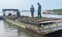 Bắt giữ đối tượng dùng bè mảng chở lậu 4 tấn hàu từ Trung Quốc về Việt Nam tiêu thụ