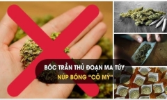 Khởi tố hai học sinh ở Thanh Hoá vì mua bán, sử dụng “cỏ Mỹ”