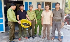 Tin tức thời sự 24h: Người dân giao nộp 4 cá thể rái cá quý hiếm