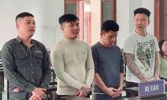  Cháu trai rủ rê đồng bọn 