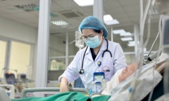 Tin tức đời sống 9/12: Cứu sống bệnh nhân suy đa tạng do mắc vi khuẩn whitmore