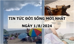 Tin tức đời sống ngày 1/8/2024: Cận cảnh 