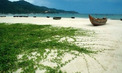 Bình Thuận công khai các dự án có vi phạm pháp luật đất đai