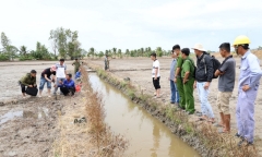 Tạm giữ 2 đối tượng dùng điện bẫy chuột khiến người đàn ông tử vong