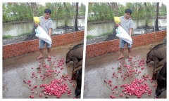 Anh nông dân 