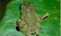 Khám phá sinh vật 