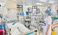 Tin tức đời sống 15/11: Làm vỡ tổ ong vò vẽ, người đàn ông bị ong đốt hơn 100 vết