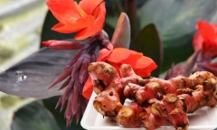 Loại củ mọc đầy góc vườn và công dụng phòng tránh đột quỵ hiệu quả