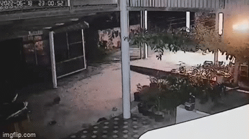 Nghi án người đàn ông ném