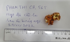 Gióng lên hồi chuông cảnh tỉnh từ vụ ngộ độc bỏng ngô “tẩm” cần sa