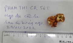 Tin thời sự mới nóng nhất 6/12: Ngộ độc sau khi ăn bỏng ngô nghi có tẩm cần sa